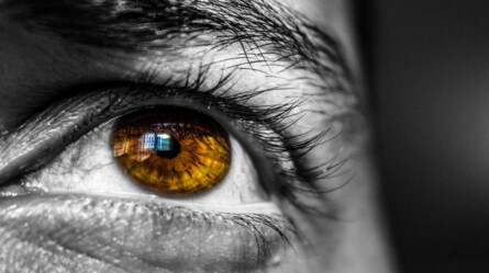 Eye Tracking Research for Your Email Marketing