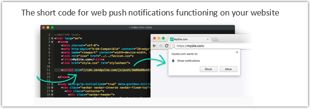 web push code