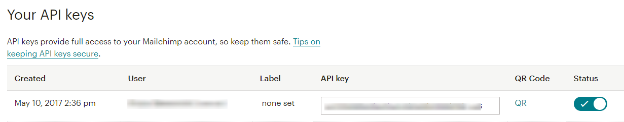 Копирование API key