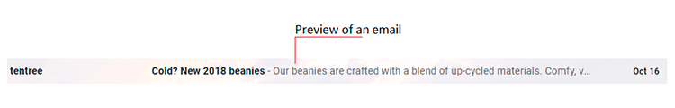 email preheader desktop view
