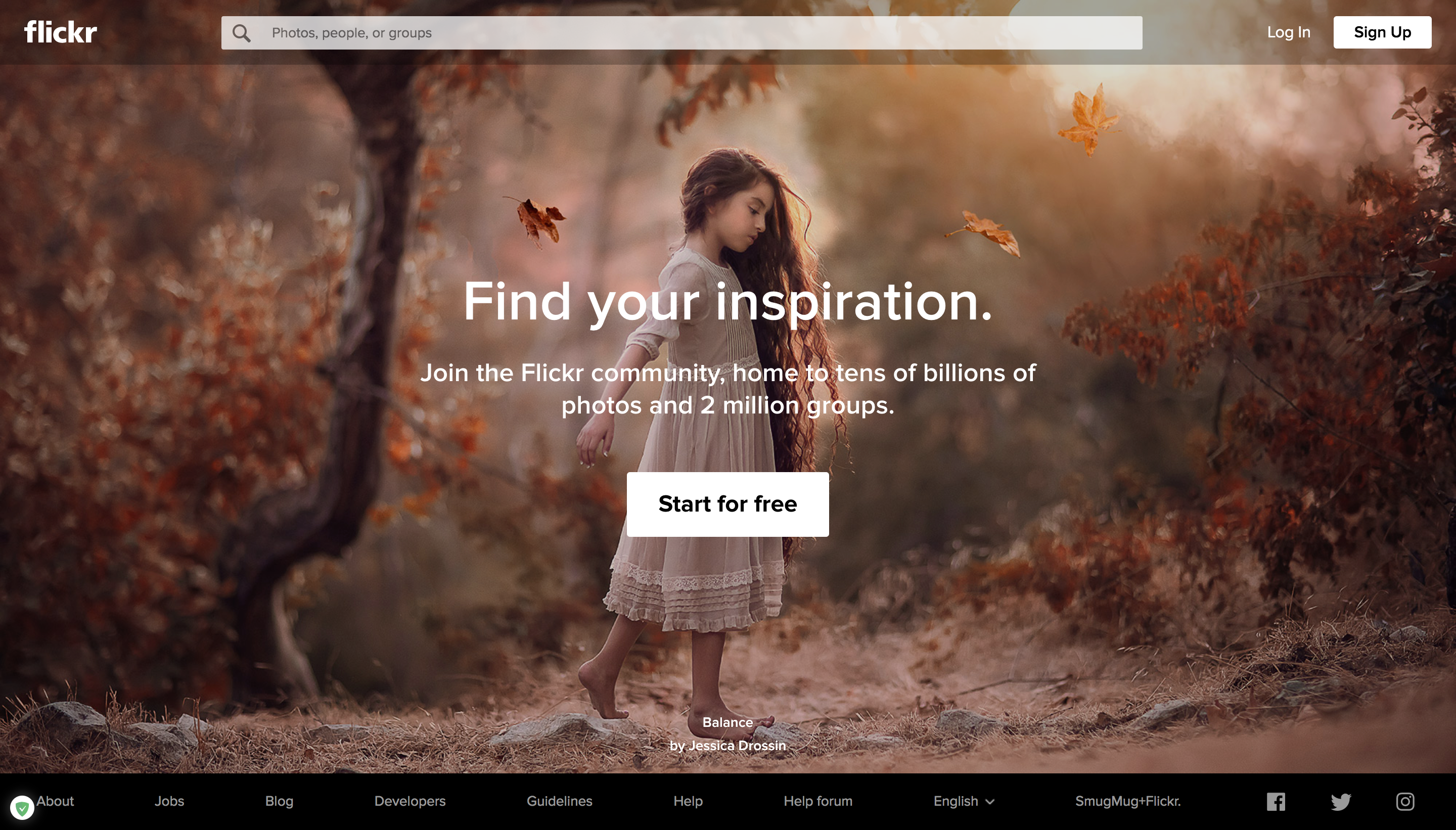 flickr landing page