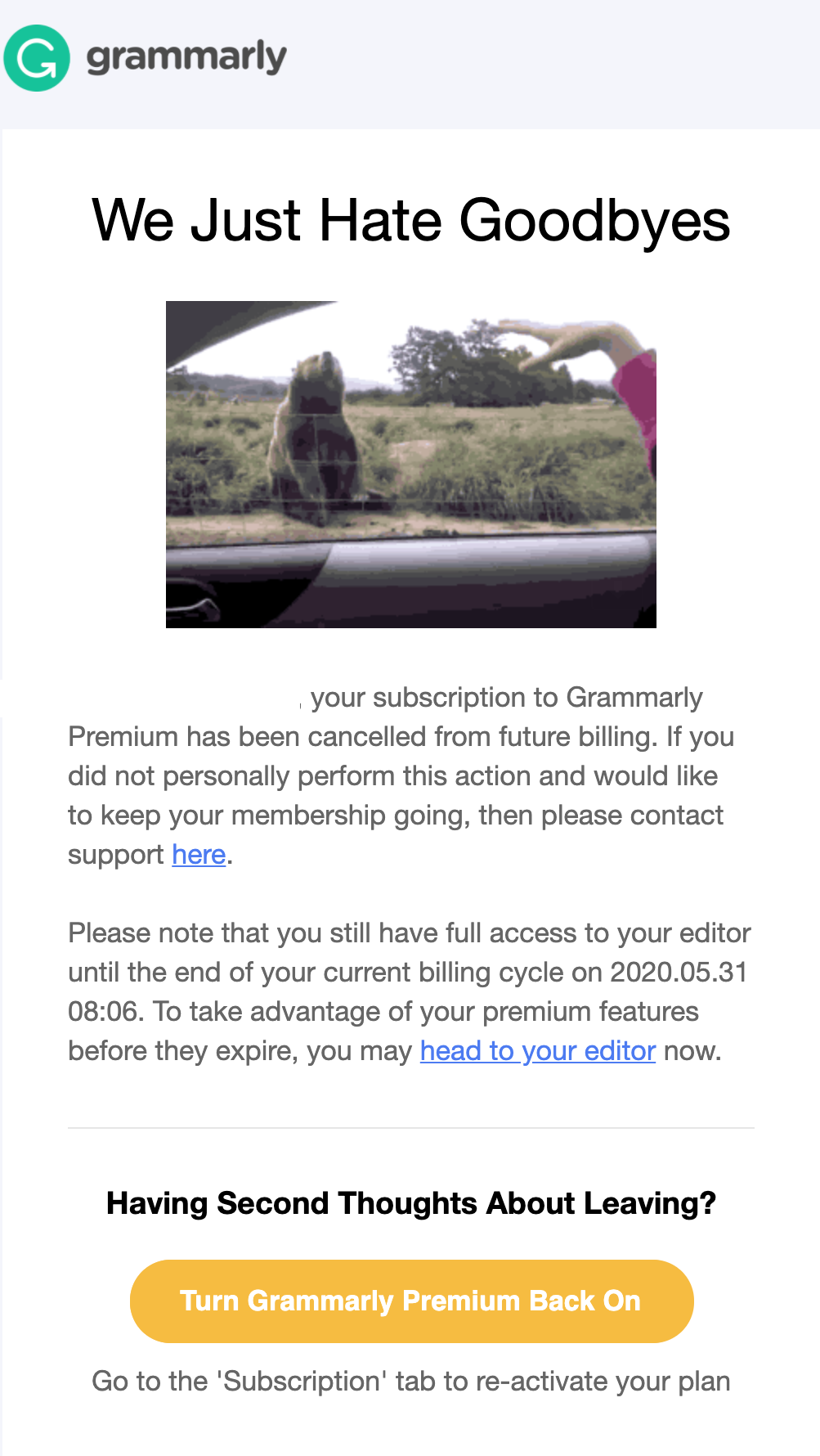 Grammarly'nin abonelik iptal e-postası