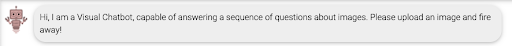 Visual Chatbot'tan dostça bir karşılama