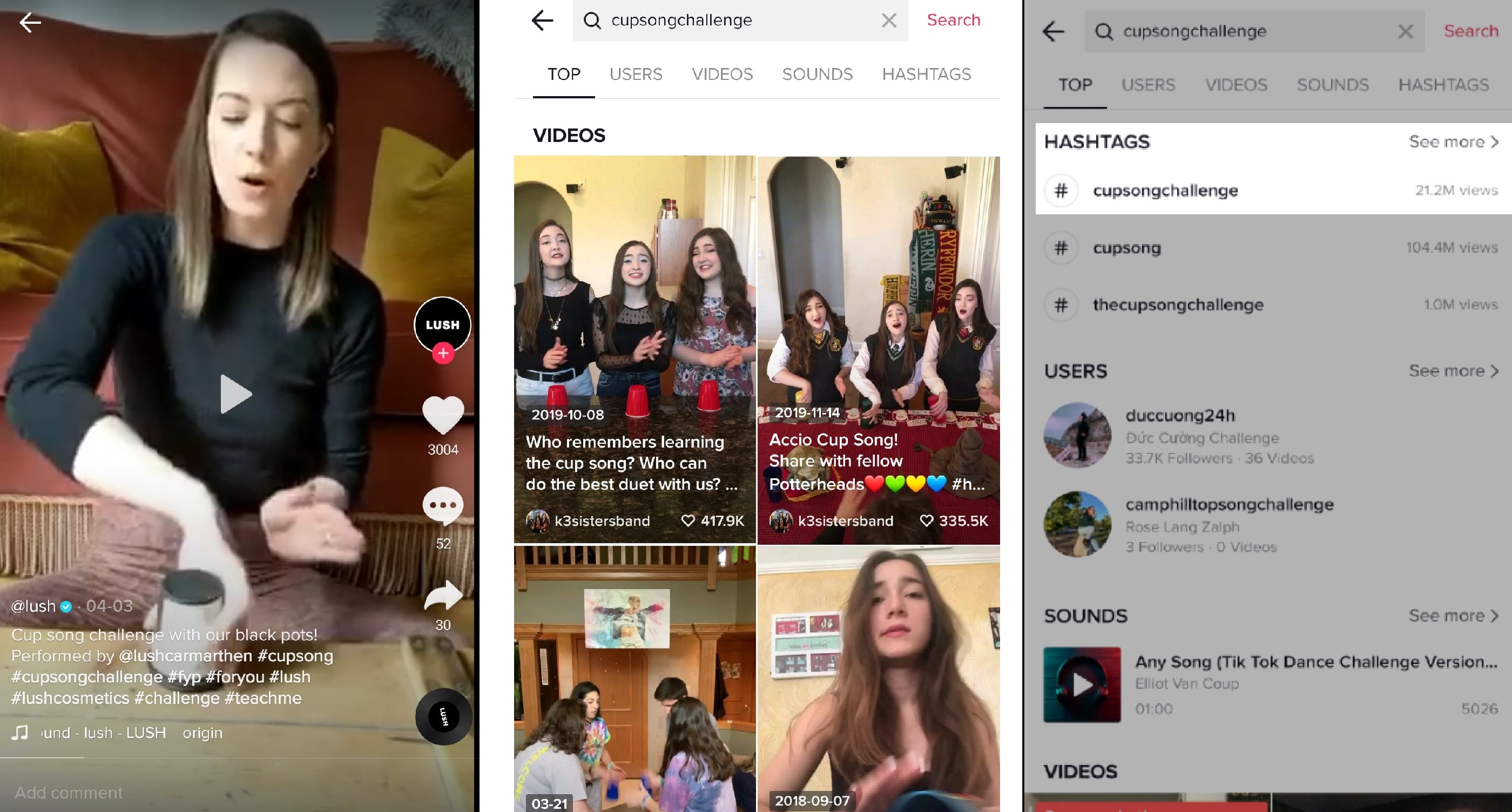 hashtag challenge on tiktok