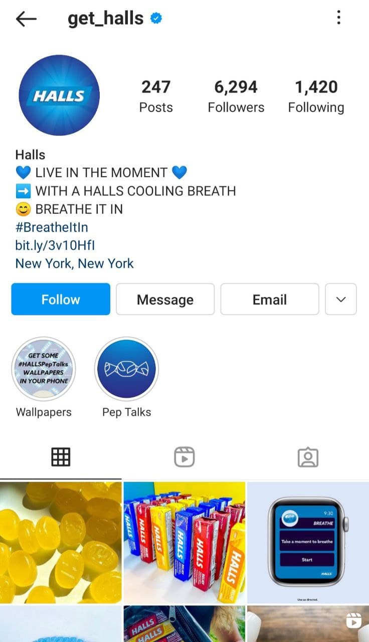 Instagram bio example