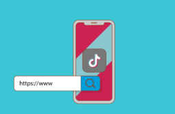 How to Put a Link in TikTok Bio and Optimize It to Boost Traffic