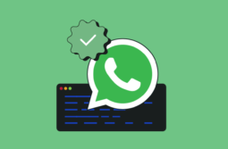 O que é BSP do WhatsApp e como escolher o certo