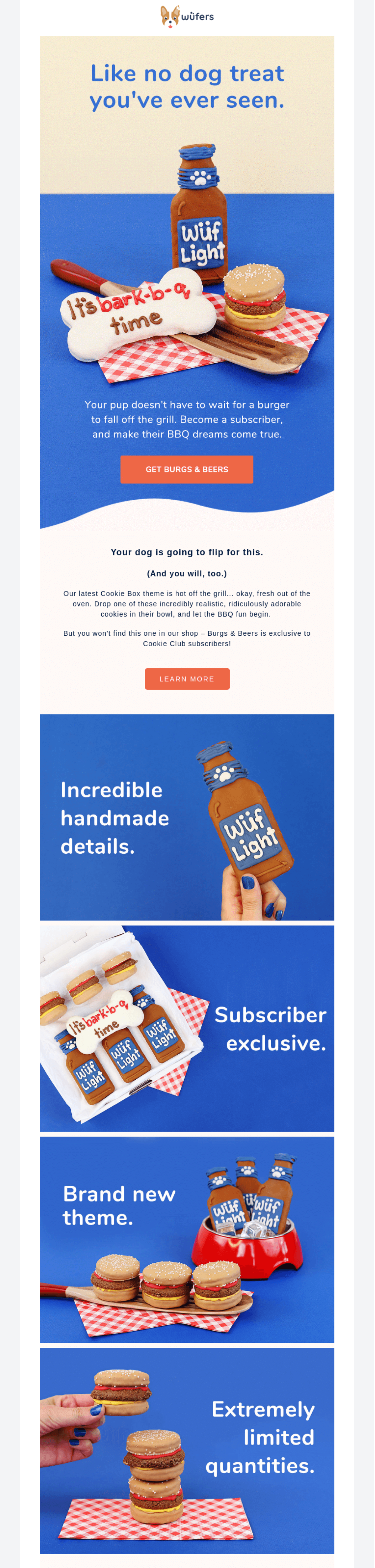 product launch email example