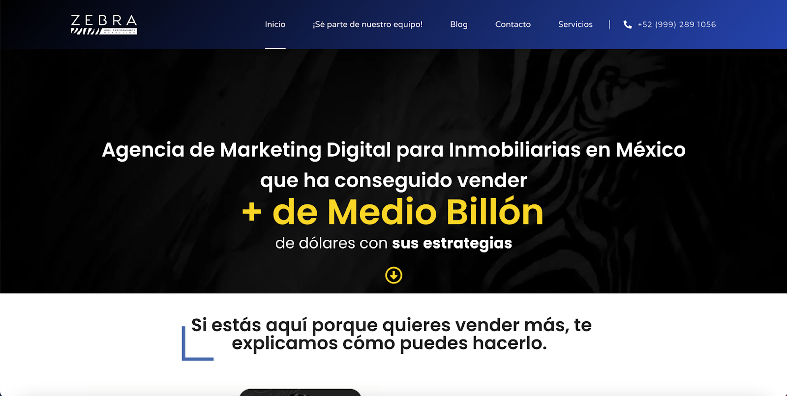 Zebra es una gran agencia de marketing digital especializada en bienes raíces