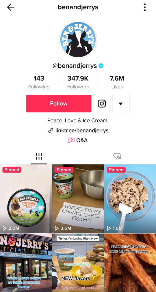 TikTok bio