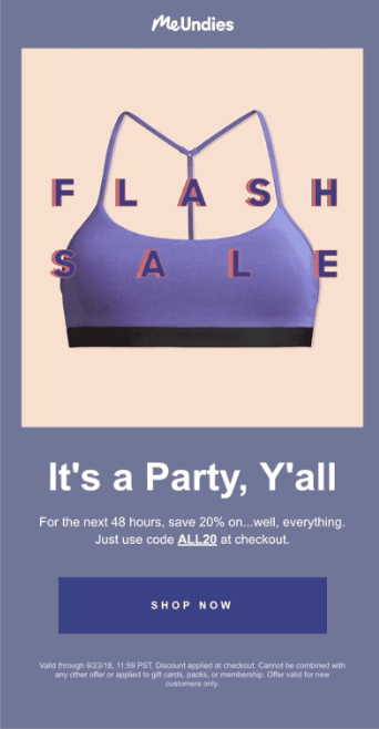 flash sale email example