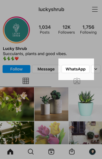 Instagram'da bir WhatsApp bağlantısı; kaynak: OnlineMarketing