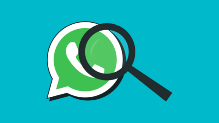 Guía Básica: Cómo usar los Estados para WhatsApp