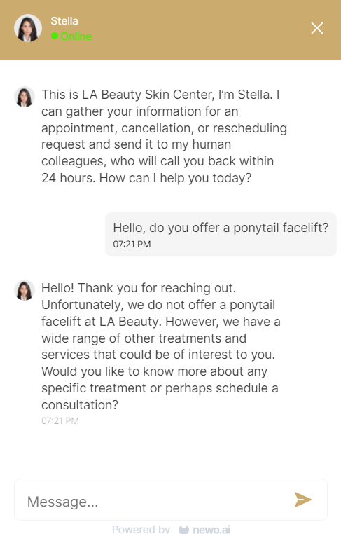 chatbot consulting a customer chatbot consulting a customer