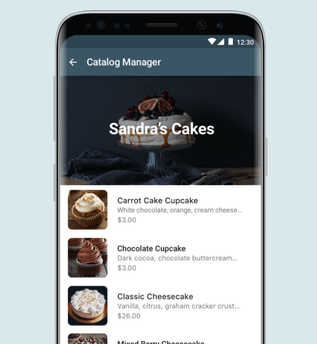 Using WhatsApp catalog feature Using WhatsApp catalog feature