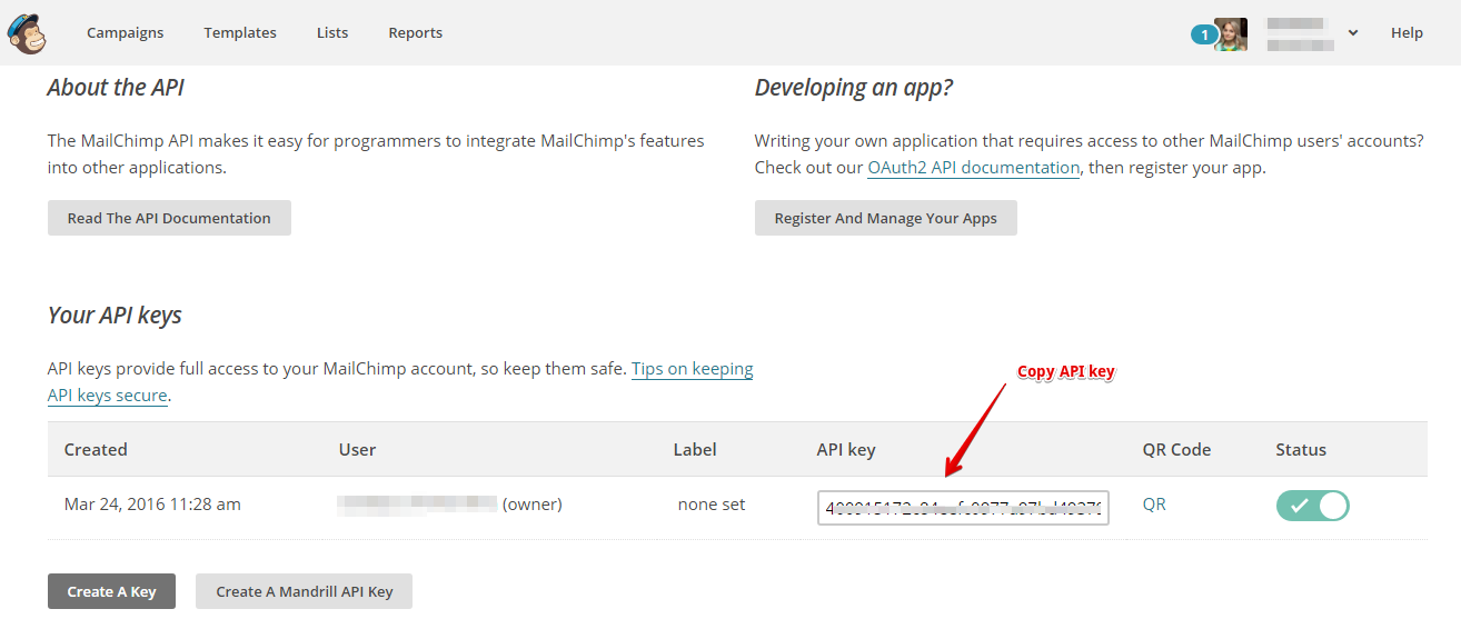 MailChimp API kodunu kopyalayın