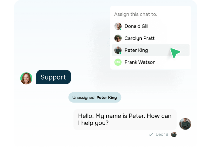instagram chatbot for support