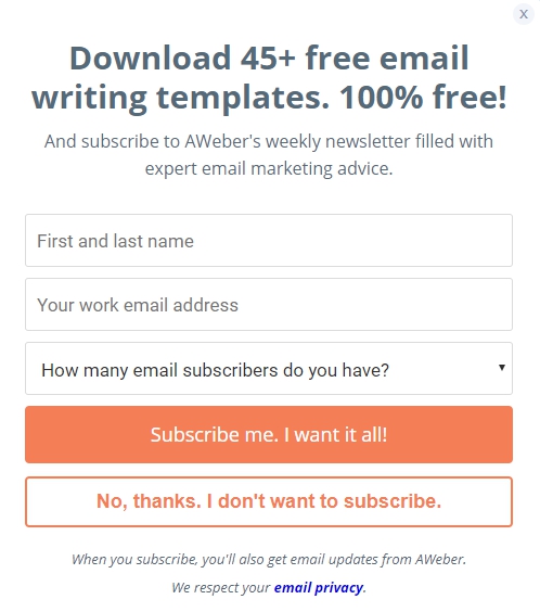 Subscription form with a lead magnet